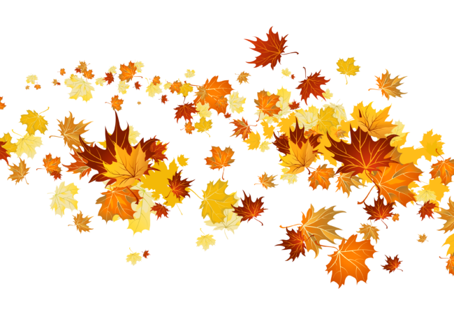 Fall Festival